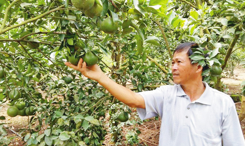  Những tỷ phú nông dân ở Đồng Nai